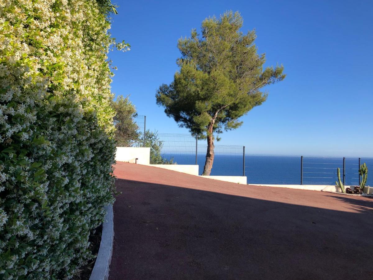 Vue Mer.Tranquilite.Cap D'Ail A 10 Mn De Monaco カップダイユ エクステリア 写真